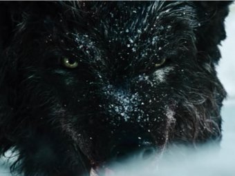 Стоп-кадр из фильма «Схватка». Стоп-кадр из фильма «Схватка».